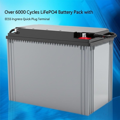 Mais de 6000 ciclos LiFePO4 Bateria com proteção IP65 e terminal de plugue rápido EES-6mm